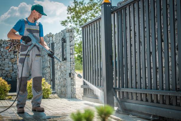 Best Soft Washing  in Bonnie Brae, IL