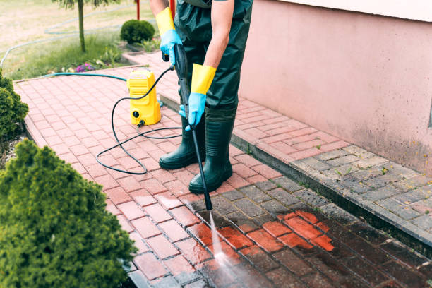 Best Dumpster Area Cleaning  in Bonnie Brae, IL