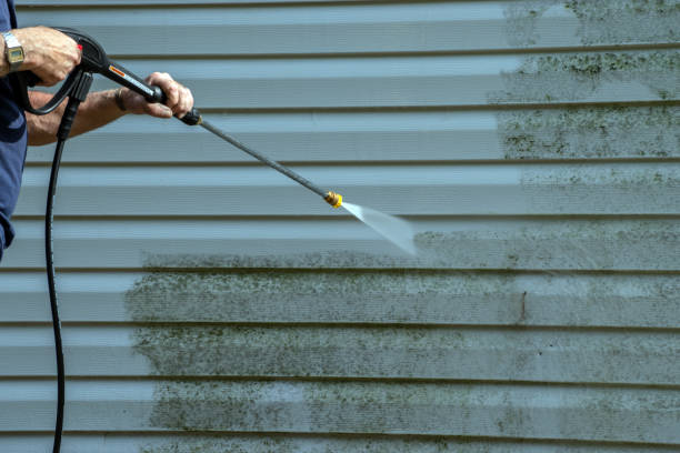Best Building Exterior Washing  in Bonnie Brae, IL
